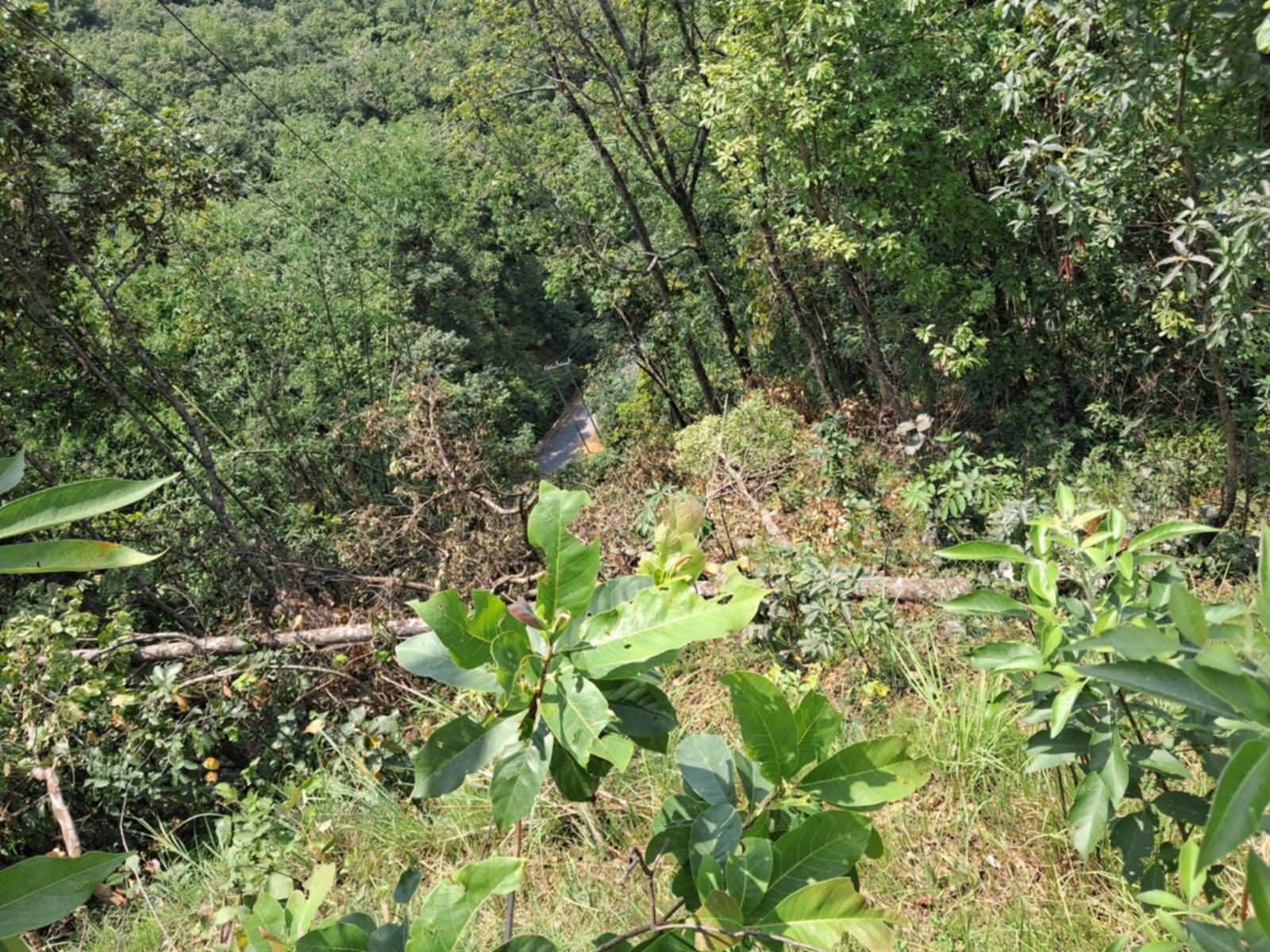 फलेवासमा ११ केभी विद्युत लाइन विस्तार विवादित, निजी जग्गामा पोल गाडिएको भन्दै स्थानीयको विरोध