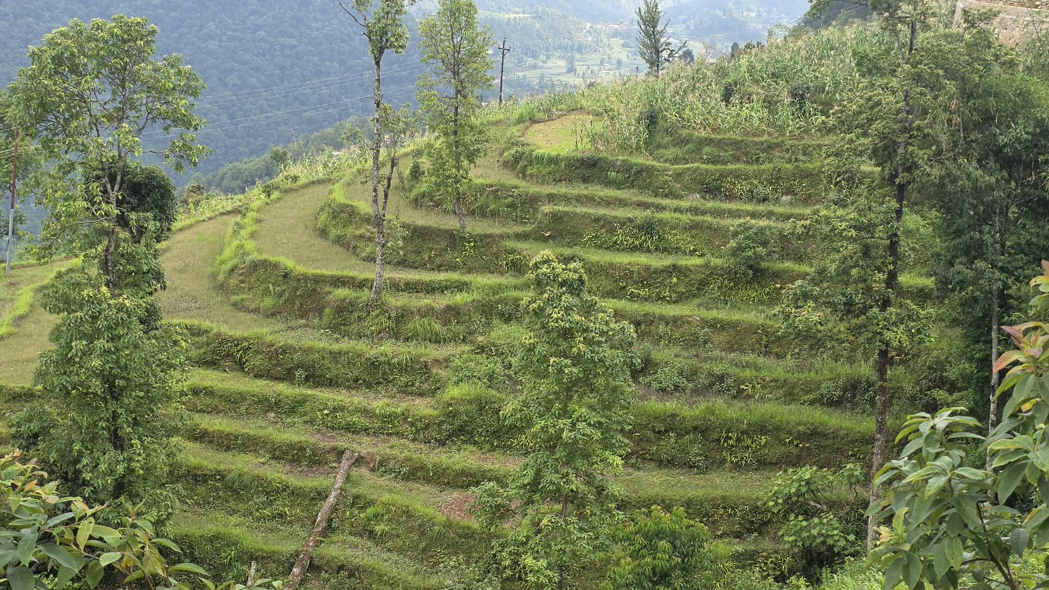 पर्वतमा बाँझो जमिन बढ्दै